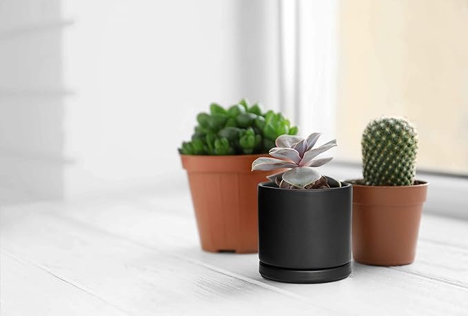 D'vine Dev Set of 2 Plants Pot, 4.6 Inch Ceramic Planter Pot for Plants with Drainage Hole and Saucer, Black, 94-V-B-2