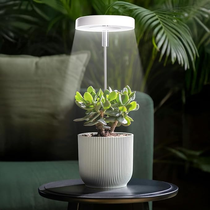 Grow Lights for Indoor Plants Small Potted - Full Spectrum, Auto 3/9/12H Timer, 10-Level Dimming & Adjustable Height - Compact Grow Light for Succulents, Herbs, Foliage in Home/Office (White,1PACK)