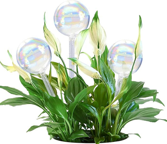 Large Plant Watering Globes, 3PCS Iridescent Rainbow Gradient Color Clear Glass Bulbs Self Watering Spikes Planter Insert, Automatic Plant Waterer Bulbs Devices for All Plants, 9" L * 2.75" D