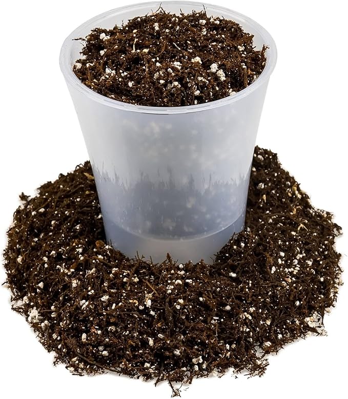 Fern + Perlite Soil Mix for Repotting and Planting Succulents and Cactuses - 3 Quart Bag