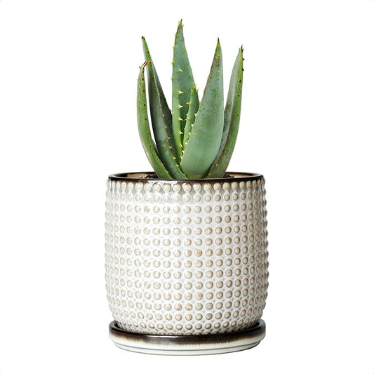 D'vine Dev 4 Inch Ceramic Beaded Stoneware Planter Pot - Flower Pot with Drainage Holes and Saucers for Indoor Succulent Plants or Flowers, Smoked White, 27-C-Z-1