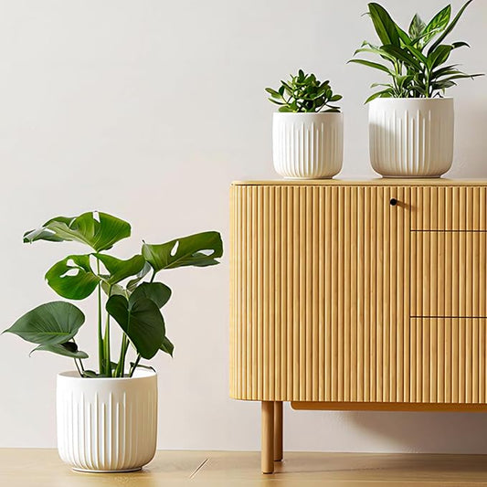 LE TAUCI Ceramic Planters, Set of 3 Plant Pots for Indoor Plants, 8.3+6.9+5.7 inch Flower Pots with Drainage Holes, Medium Cylinder Planters Pot for Indoor House Plants, White