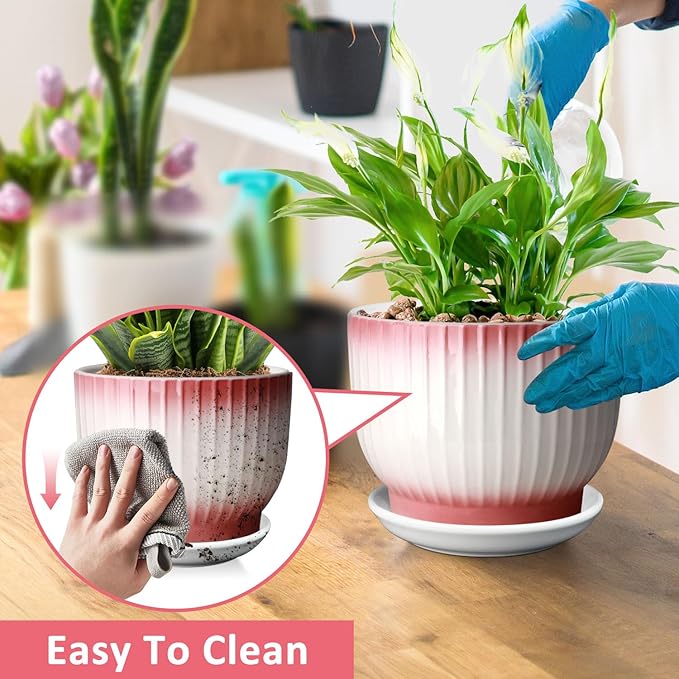 8 Inch Plant Pot, Ceramic Planter with Drainage and Saucer, Ceramic Pots for Plants, Indoor Plant pots,Flower pots(Pink + White, Plants NOT Included)