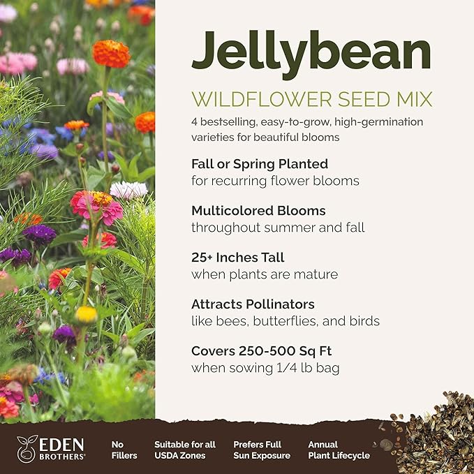 Eden Brothers Jellybean Flower Mixed Seeds for Planting, 1/4 lb, 120,000+ Seeds with Zinnia, Cornflower, Cosmos, Calendula, Attracts Pollinators, Plant in Spring or Fall, Zones 3, 4, 5, 6, 7, 8, 9, 10
