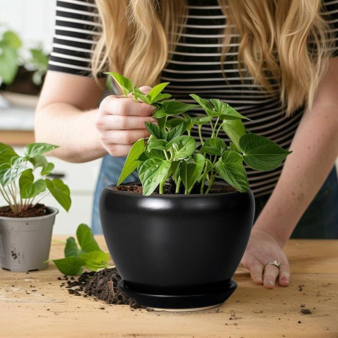 Ceramic Planter Pot - 6 Inch Plant Pot with Drainage Hole and Saucer Round Planter for Indoor Plants Outdoor Succulent Pot Modern Flower Pot for Home Decor Black