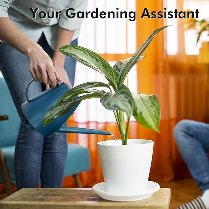 Watering Can for Indoor Outdoor Plants, Modern Small Watering Cans with Removable Nozzle, Long Spout Watering Can for Indoor Bonsai Plants Garden Flowers 1/2 Gallon 1.8L 60OZ (Dark Blue)