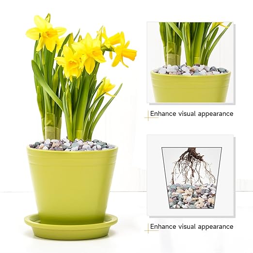 10 lbs Pea Gravel for Plants, Aquarium, Fish Tank, 3/8 inch Decorative Pebbles for Indoor Plants, Succulent, Bamboo, Vase, Drainage Rocks for Potted Plants, Top Dressing, Mixed Color