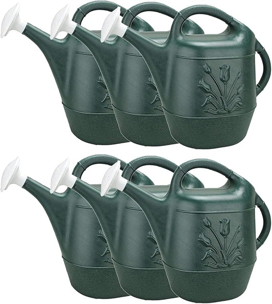 PMU 2 Gallon Watering Can - Garden Watering Can for Indoor & Outdoor Plants - Plastic Water Can with Detachable Sprinkler Head - Large Water Pot, Made in USA - Hunter Green Pkg/6