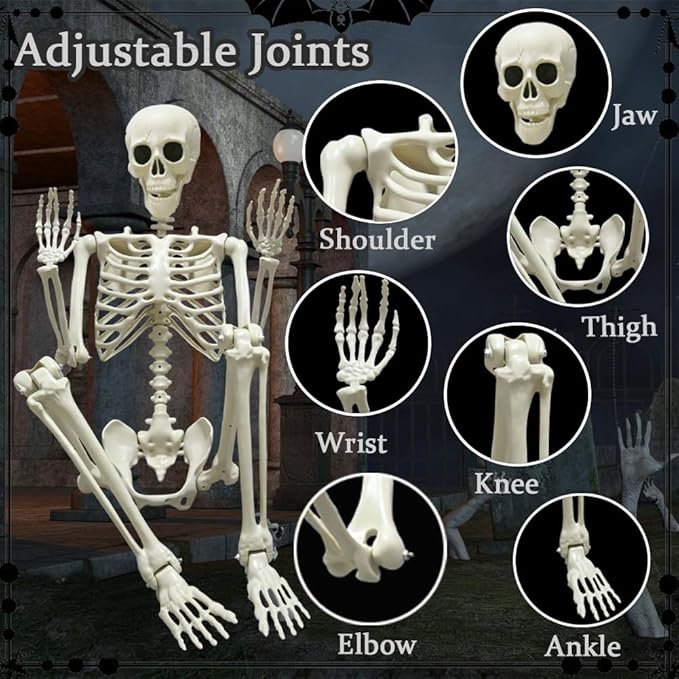 DINESIL 5.4ft/165cm Halloween Skeleton, Halloween Life Size Skeleton with Spider Pumpkin Bag, Full Body Human Bones with Movable Joints for Halloween Indoor Outdoor Haunted House Decorations