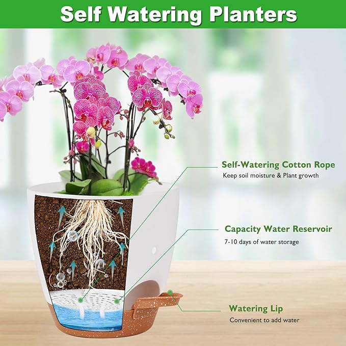 6 Inch Orchid Pots with Holes, 2 Pack Self Watering Planters for Orchids Plastic Orchid Pot Plant Flower Pots for Orchids Indoor Outdoor (White with Brown)