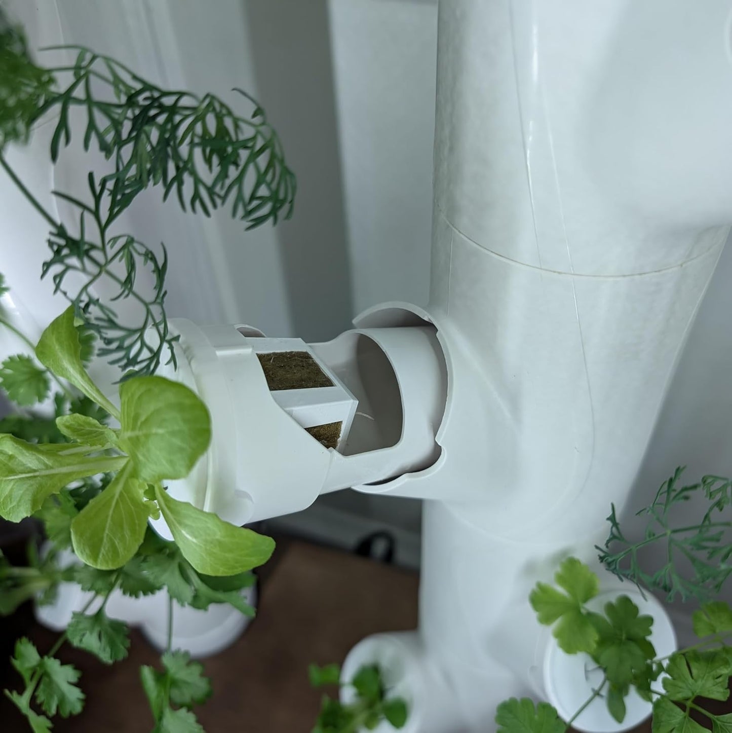 Grow Cubes for Hydroponic System/Compatible with Gardyn (10 Grow Cubes)