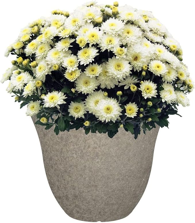 Classic Home and Garden Honeysuckle Resin Flower Pot Planter, Stone Grey, 15"