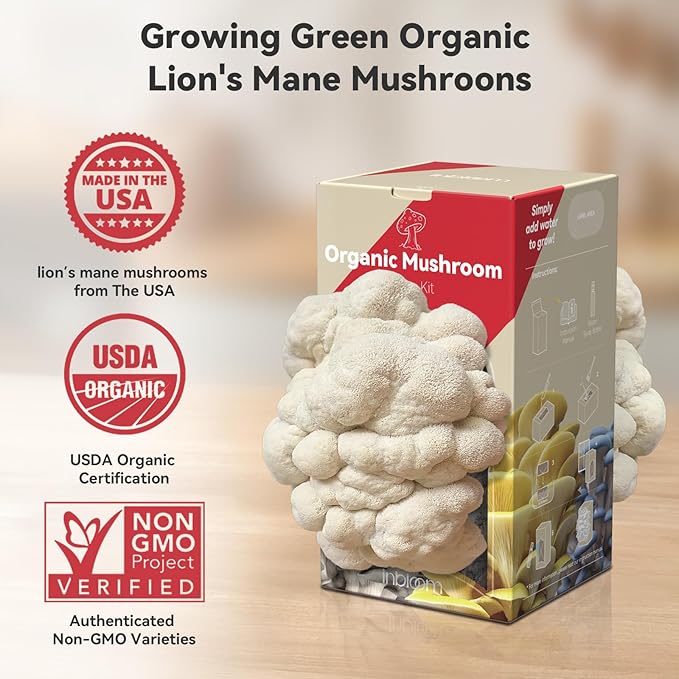 inbloom Large Organic Lion's Mane Mushroom Growing Kit (4 lbs) – Double-Side Growth, Edible Non-GMO Mushroom Kit, Beginner-Friendly, Harvest Mushrooms at Home, Indoor Gardening Gift for Adults