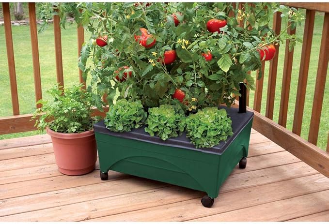 Emsco Group 2341-1HD City Picker Raised Bed Self Watering and Improved Aeration – Mobile Unit with Casters-Hunter Green Grow Box and Seed Starter