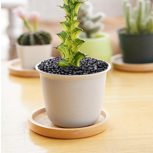 2.5 lbs Black Pebbles for Indoor Plants, Succulent, Bamboo, Vase, 3/8" Plant Rocks for Pots Indoor, Small River Rocks Decorative Pea Gravel, Highly Polished