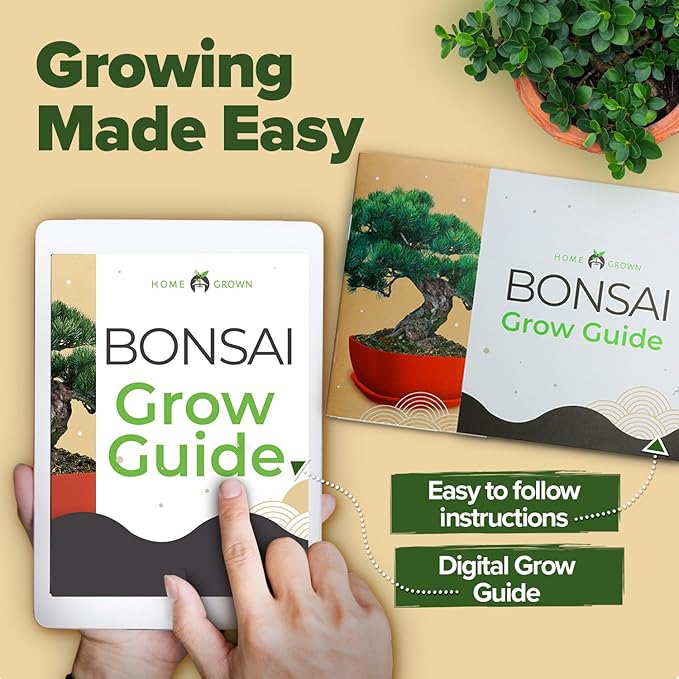 Bonsai Tree Kit - Gifts for Men & Women (Master Kit)