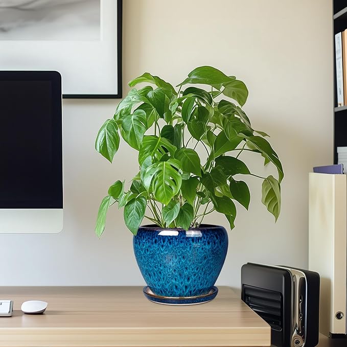 Ceramic Modern Glaze Succulent Planter Pot with Drainage Hole and Saucer 6 Inch Round Flower Plant Pot for Indoor Outdoor Herb Snake Plants