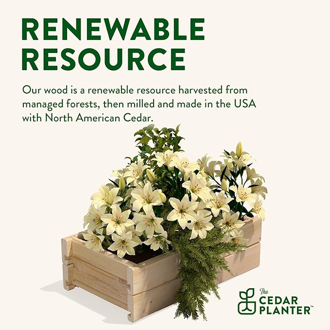 Greenes Fence Cedar Wood Planter Box with Wall Mount Brackets, 21" x 11" x 7" - Made in USA with North American Cedar