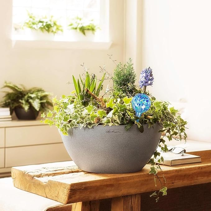 Plant Watering Globes Set of 6 - Small Self Watering Globes for Indoor & Outdoor Plants - Multicolored, Automatic, Glass Watering Bulbs for Daily Use, Plant Watering Devices