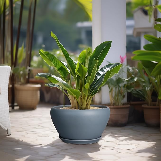 Ceramic Planter - 13 Inch Planter for Indoor Plants Large Plant Pot with Drainage Hole and Saucer Round Outdoor Planter Modern Flower Pot for Home Decor Gray