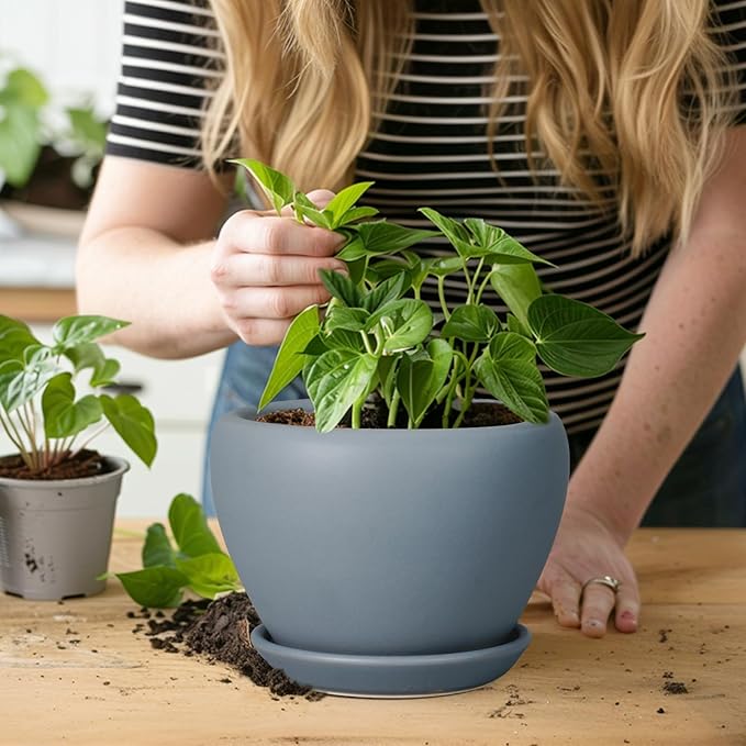 Ceramic Pot for Plants - 6 Inch Plant Pot Indoor with Drainage Hole and Saucer Decorative Planter for Outdoor Plants Modern Succulent Pot Round Flower Pot Gray