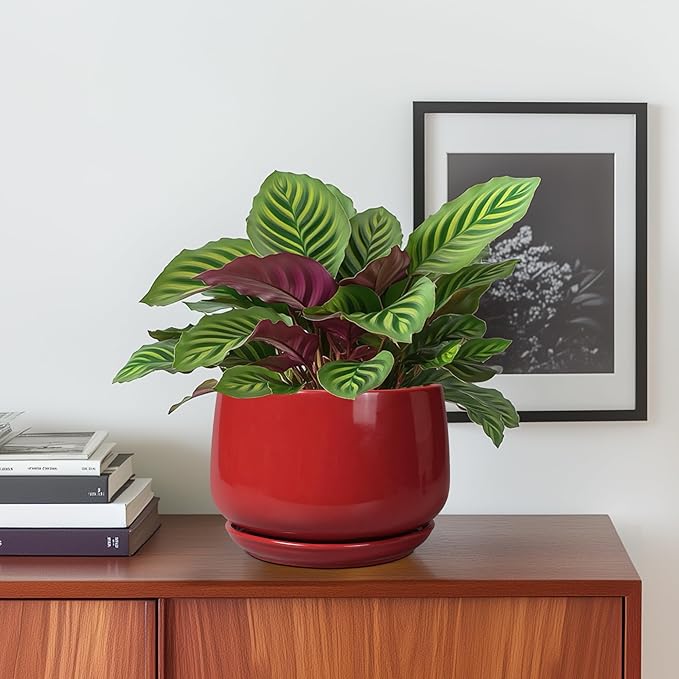 G EPGardening Ceramic Pot for Plants - 6 Inch Plant Pot with Drainage and Ceramic Tray, Modern Living Room Decor, Planter for Housewarming Gifts New Home, Red