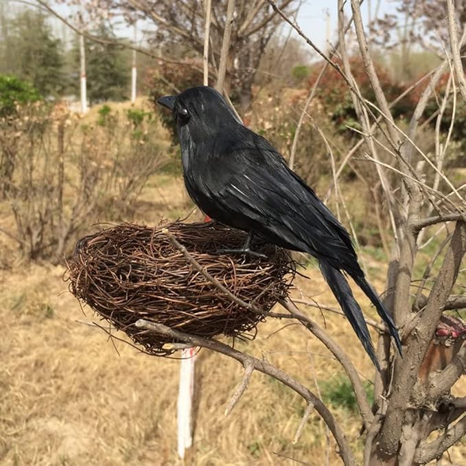 ZODIFEVI 6 Pack Realistic Crows, Real Touch Black Feathered Crows, Halloween Decorations,Artificial Handmade Feathered Raven, Halloween Party Decor Prop Outdoors and Indoors Decoration