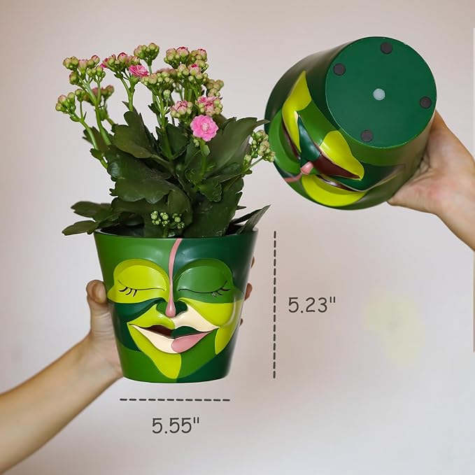 GUGUGO Face Planters Pots with Drainage, Abstract Gardening Pots for Indoor Plants, Unique Funny Small Succulent Pot for Plant Lover Gifts (Rainbow Colors - Mainly Green, 5.5Inch)