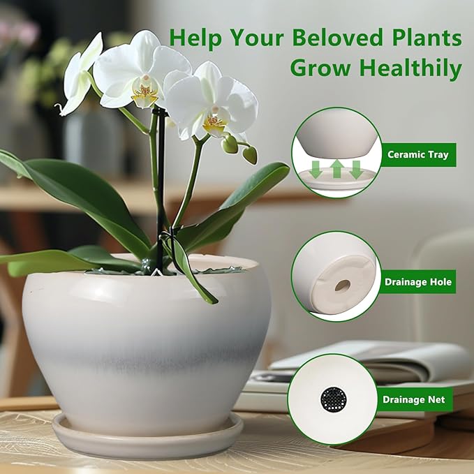 Ceramic Planter - 8 Inch Plant Pot with Drainage Hole and Saucer, Glaze Round Flower Pot for Home Garden Patio Office, White