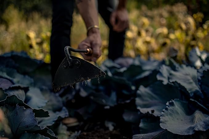 Barebones Triangle Hoe - Stainless Steel Hoe - Japanese Gardening Tools for Weeding, Long Handle and Hand Hoe (Walnut/Black)