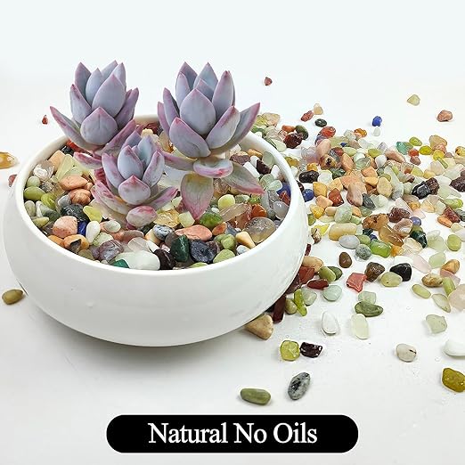 5LB Colorful Pebbles for Succulent, 3/8 Inch Natural River Rocks for Plants, Natural Decorative Polished Pebbles for Cactus,Vases, Planters,Outdoor Gardening and Indoor Plants
