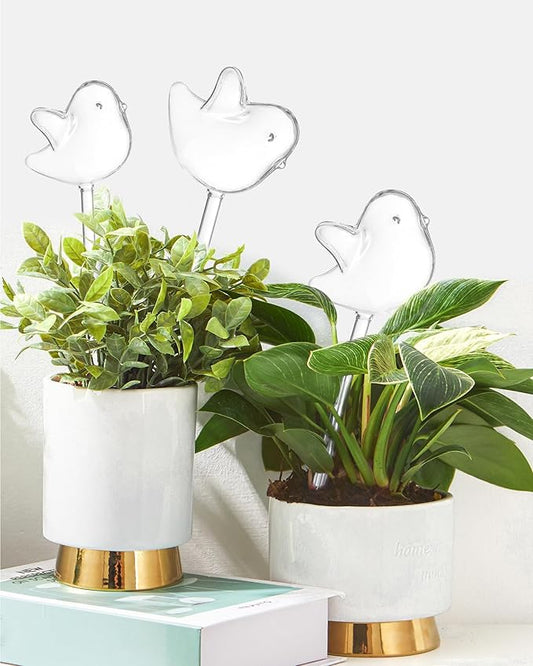 DN DECONATION 3 Pcs Bird Shaped Watering Globes, Birdlike Clear Glass Watering Bulbs, Watering Bulbs for Indoor Plants & Outdoor, Automatic Plant Watering System to Support Plant Health, Decor
