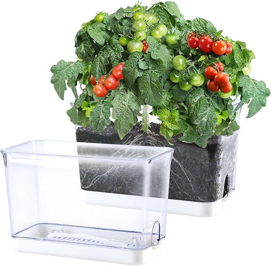 Self Watering Planter, 2 Pack African Violet Pots, Rectangular Self-Watering Clear Planters Box for Devil's Ivy, Spider Plants, Orchid. Flower Planting and Small Vegetables for Home Office