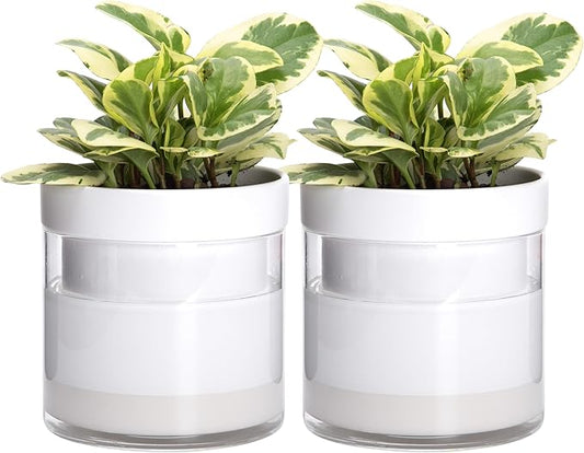Phoenix Vine 6 Inch Self Watering Planter, White Terracotta Clay Pot with Glass Reservoir for Indoor Plants, Herbs, Flowers, Set of 2, 52-B-F-2