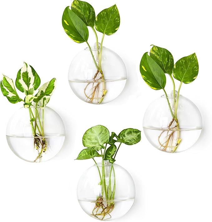 Ivolador Wall Hanging Planter Propagation Station Glass Flower Vase for Hydroponics Plants, Home Office Living Room Decor Gift, Set of 4