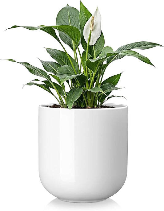 vancasso 8 Inch Ceramic Plant Pots, Planters with Drainage Hole, Flower Pots Planters Pots for Indoor Plants, Modern Indoor Decorative Garden Pot, Home Decor, White