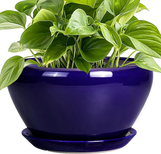 Planter for Indoor Plants 9 Inch - Ceramic Plant Pot for Indoor Plants Round Planter Outdoor Flower Pot with Drainage Hole and Saucer for Home Office Patio Decor Blue