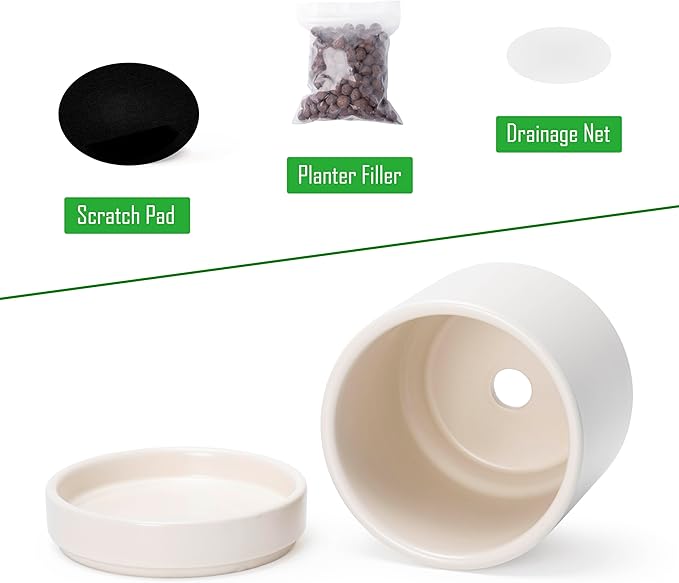 D'vine Dev Set of 4 Small Ceramic Plant Pots, 3.5 Inch Succulent Planter Pot for Plants with Drainage Hole and Saucer, Oatmeal, 94-X-A-8