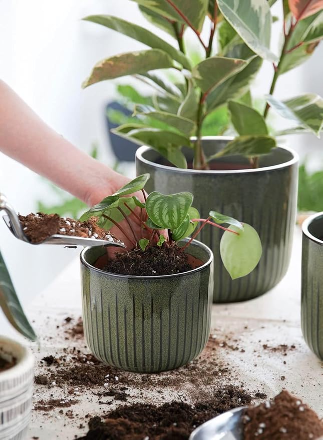 LE TAUCI Ceramic Planters for Indoor Plants, 8.3+6.9+5.7 inch Plant Pots with Drainage Holes, Cylinder Flower Pot for Indoor House Plant, Set of 3, Glaze Dark Olive