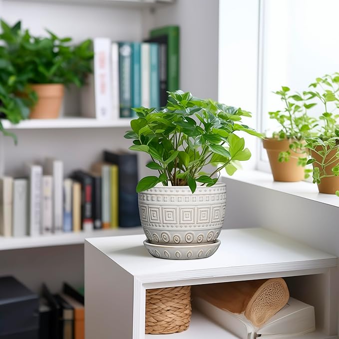 G EPGardening Ceramic Pots for Plants - 5 Inch Plant Pot Indoor with Drainage Hole and Saucer, Outdoor Flower Pot, Decorative Round Planter for Succulent Orchid Snake Plants, White