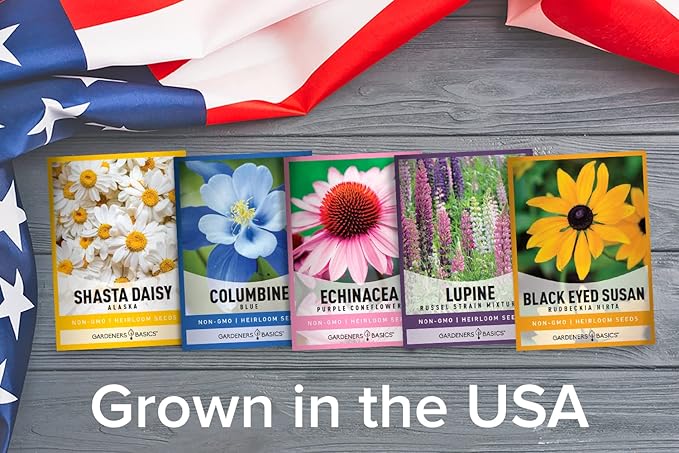 Gardeners Basics, Perennial Flower Seeds for Planting Outdoors (5 Variety Pack) Lupine, Columbine, Echinacea Purple Coneflower, Black Eyed Susan, Shasta Daisy for Pollinators Wildflower Seed