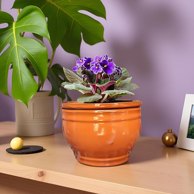 African Violet Pots Self Watering Round Ceramic Violet Pot (Orange, 6 inch)