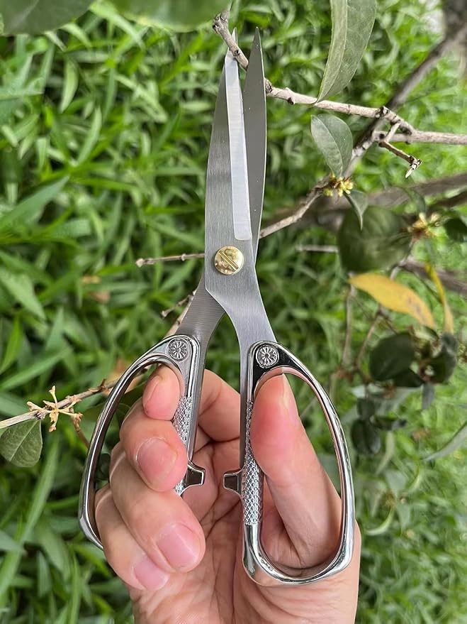 Indoor Plant Shears Bud Trimming Scissors, Japan SK5 Stainless Steel Floral scissors, Flowers Herbs and Stem Cutters, Clippers, Trimmers, Loppers, Bonsai Garden Pruning Scissors