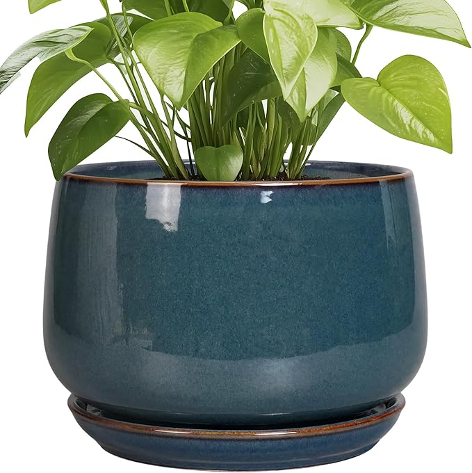 G EPGardening Ceramic Plant Pots - 9 Inch Round Modern Planter Indoor with Drainage and Tray for Indoor Outdoor Flower, Office Decor, Gardening Gifts, Retro Blue