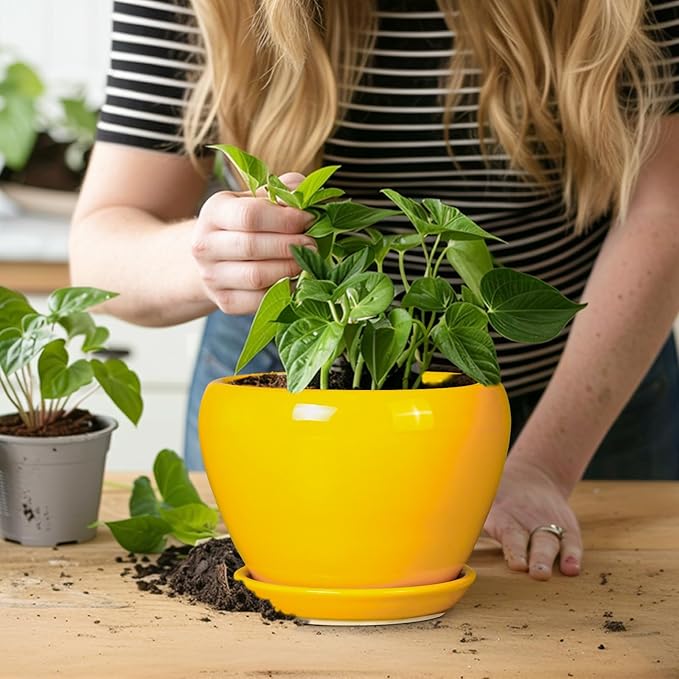 Ceramic Pot for Plants - 6 Inch Plant Pot Glaze Modern Decorative Round Planter with Drainage Hole and Saucer for Home Patio Room Office House Decor, Yellow