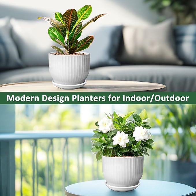 8 Inch Plant Pot,Ceramic Planter with Drainage and Saucer,Ceramic Pots for Plants,Indoor Plant pots,Ceramic Flower pots(Pure White, Plants NOT Included)