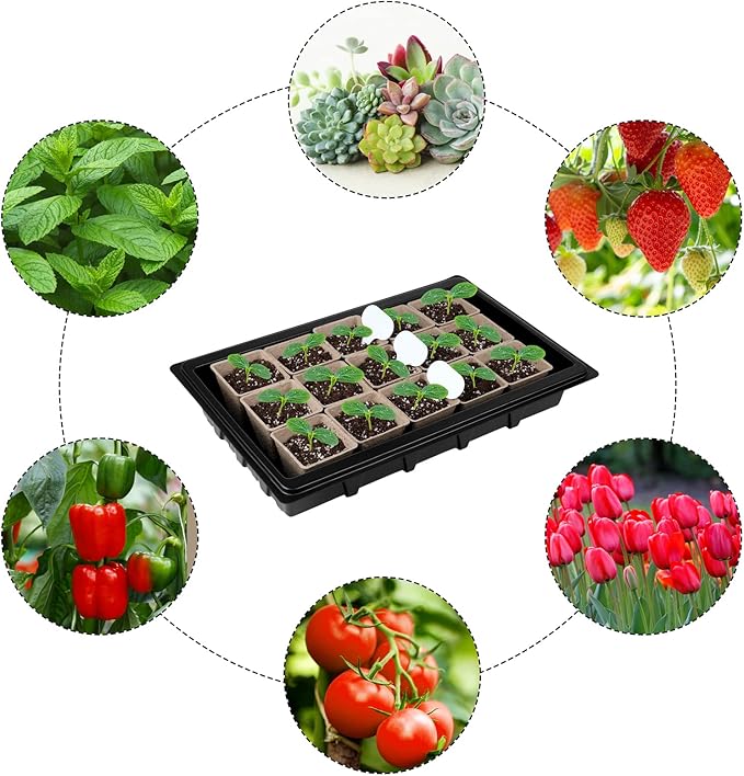 Aodaer 193 Pack Seed Starter Kit Including Seed Starter Tray Peat Pots for Seedlings with Plant Labels, Tool, Plastic Growing Trays Germination Tray Paper Seedling Cups for Indoor Outdoor Garden