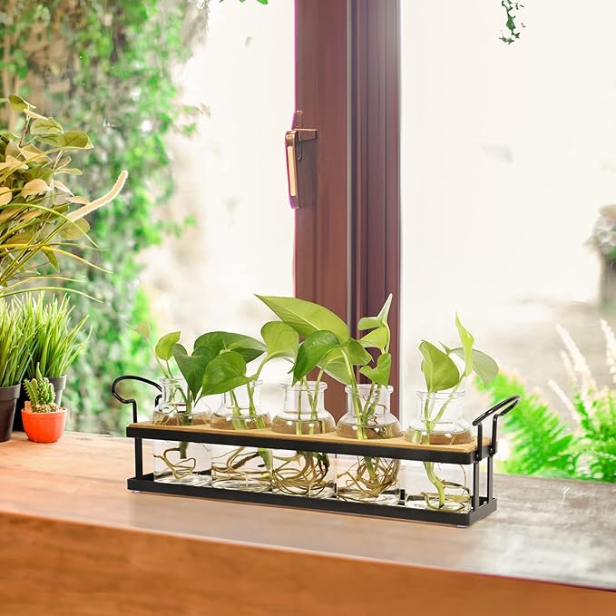 THYGIFTREE Plant Propagation Stations with Metal Stand, Tabletop Plant Terrarium for Propagating Hydroponic, Retro Glass Planter Flower Vase Home Kitchen Office Decor, Plant Lover Gifts, 5 Jars