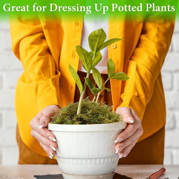 Halatool 0.75LB Green Forest Moss for Plant Indoor- 18QT Natural Orchid Moss Sphagnum for Potting Mix, Real Dry Moss for Repotting Potted Plants Orchids Succulent Carnivorous Cactus Pothos