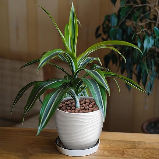 10LB Leca Clay Pebbles for Plants, Expanded Leca Balls for Indoor Plants, Orchid Potting Mix, Soil Amendment, Drainage, Easy Reusability, 4-16mm